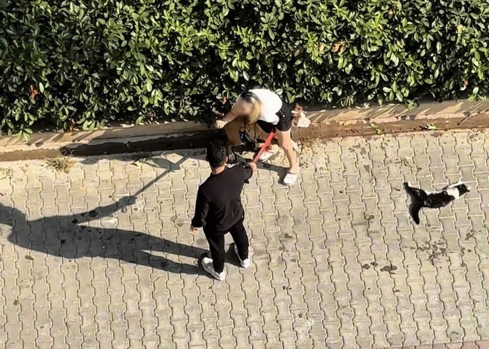 Pitbull Dehseti Kamerada Kediyi Parcaladi Sahibi Polisi Aramayin Diye Yalvardi (2)