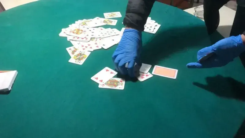 Sali̇hli̇ Kumar (1)-1
