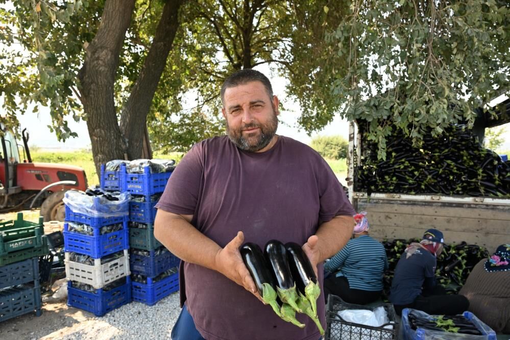 Sel Urunlerini Yok Etmisti Manisada Ciftcinin Tarlasinda Yeniden Hasat Sevinci (3)