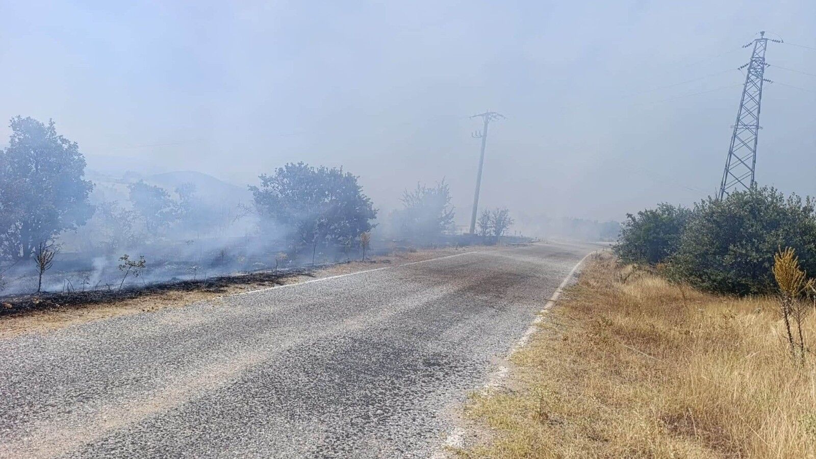 Tarım Arazisinde Başlayan Yangın Ormana Yayıld (3)