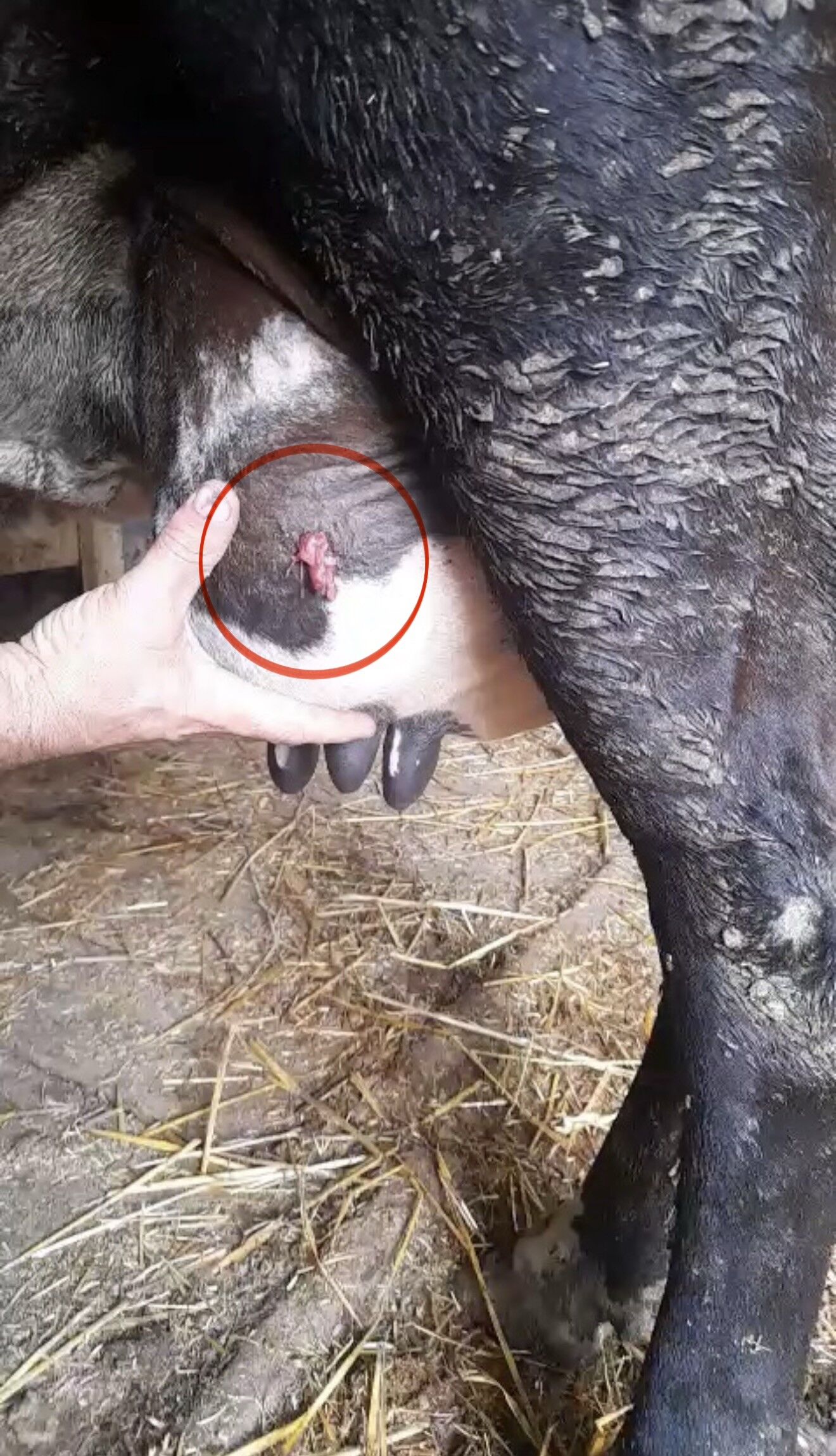 Tartışma Kanlı Bitti! 21 Yaşındaki Genç Kurşunların Hedefi Oldu (2)
