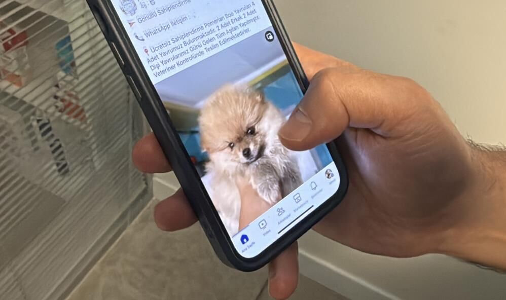 Veterinerin Fotoğrafını Kullanıp Dolandırdılar! Şüphelinin Sözleri “Pes” Dedirtti (2)