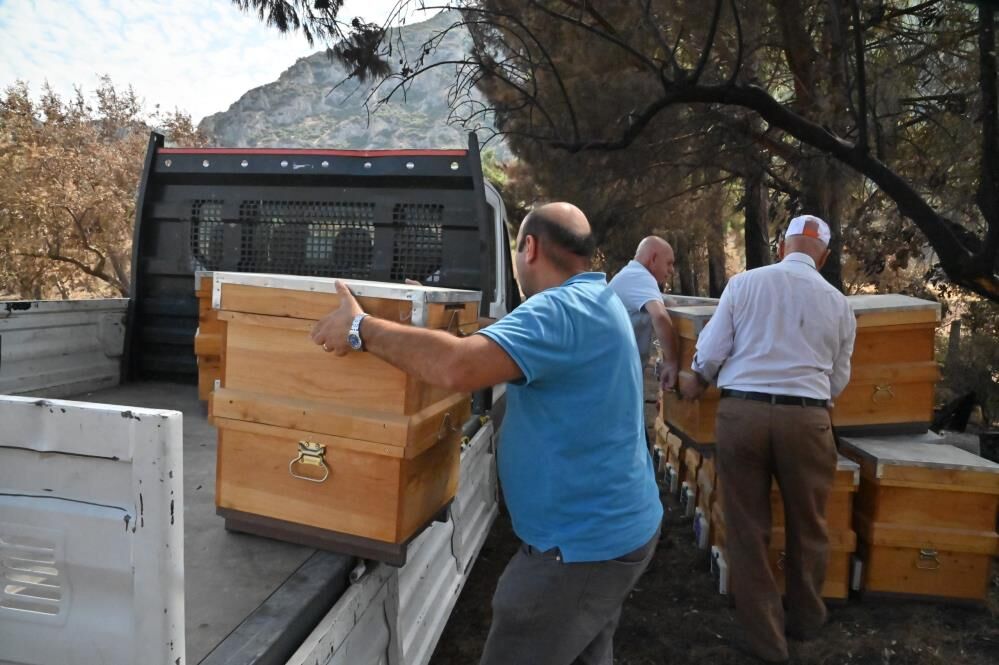 Yangında 140 Kovanı Zarar Görmüştü (2)