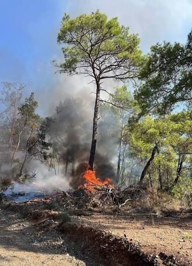 Yanginlara Karsi Havadan Ve Karadan Takip Iha Ve Fotokapanlar Devrede (1)-2