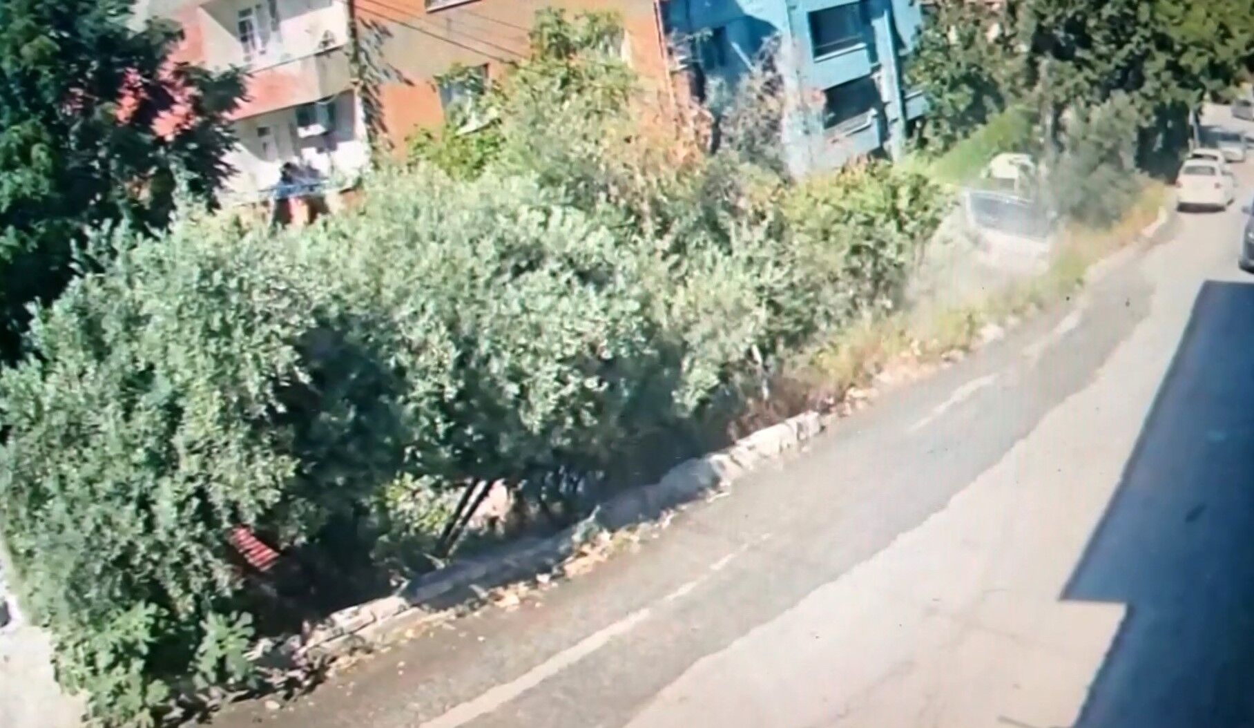 Yokusu Cikamayan Kamyon Geri Geri Boyle Geldi 10 Cocuk Annesinin Olum Ani Kamerada (3)