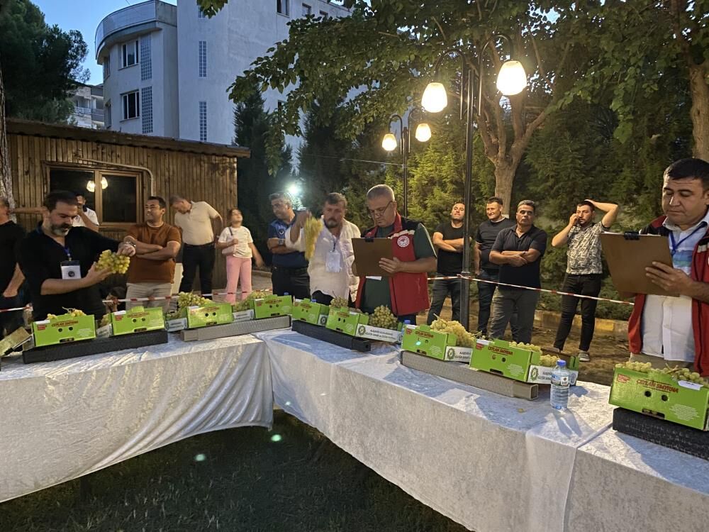 30 Kilo Uzumle 500 Metre Yaristilar Alasehirde Nefes Kesen Mucadele (5)