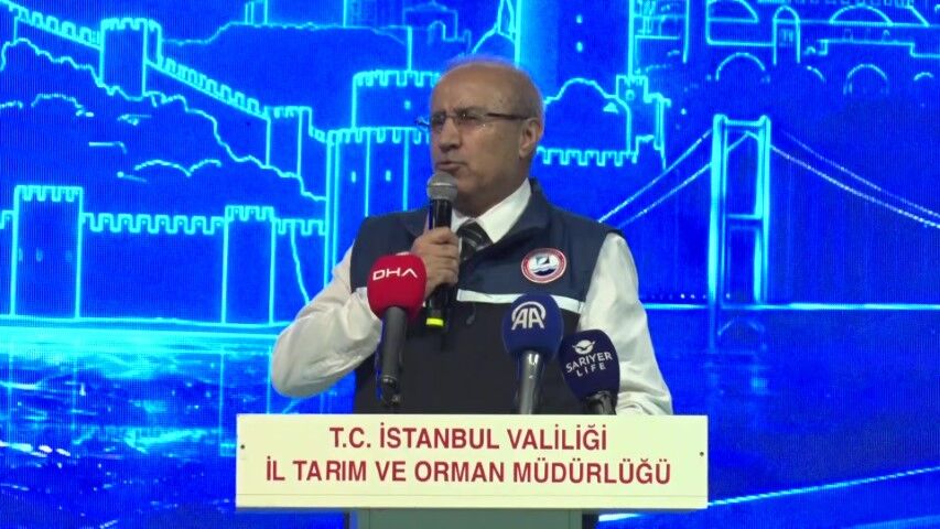 45 Aylik Hasret Sona Erdi Balikcilar Aglarini Denize Birakti Bu Yil Bol Bol Palamut Yi (4)