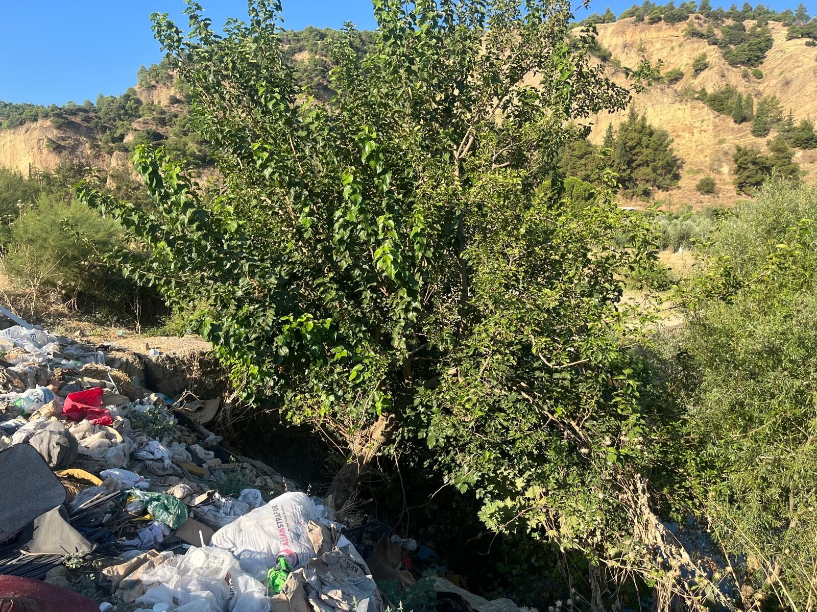 Çöp (9)