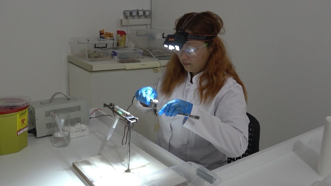 Koyde Basladi Hedef Buyudu Sivi Altin Uretiminde Uluslararasi Pazar Hedefi (1)-1