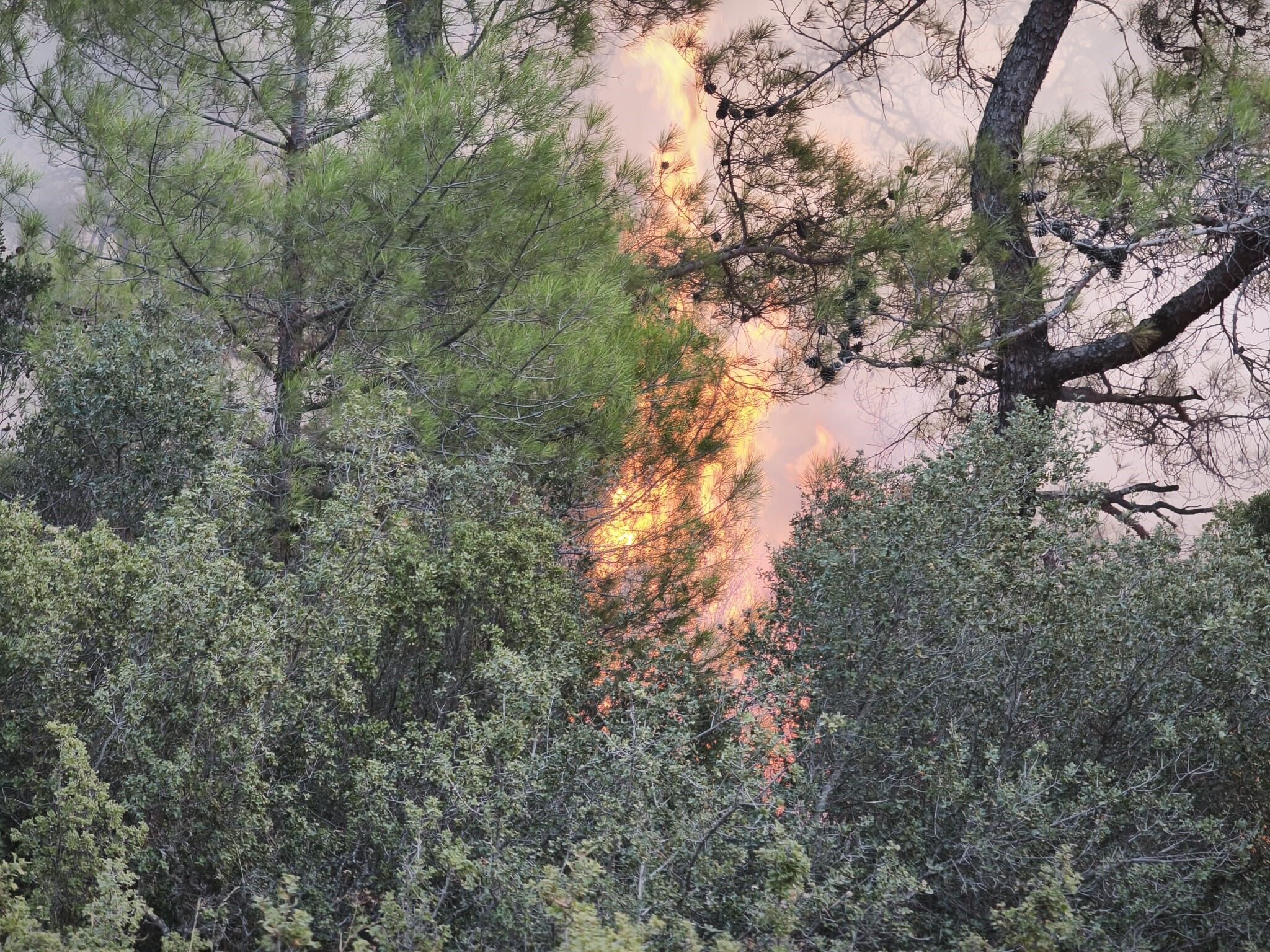 Muğla’da Korkutan Orman Yangını! Alevler Yerleşim Yerine Ulaştı, Karayolu Kapatıldı (4)