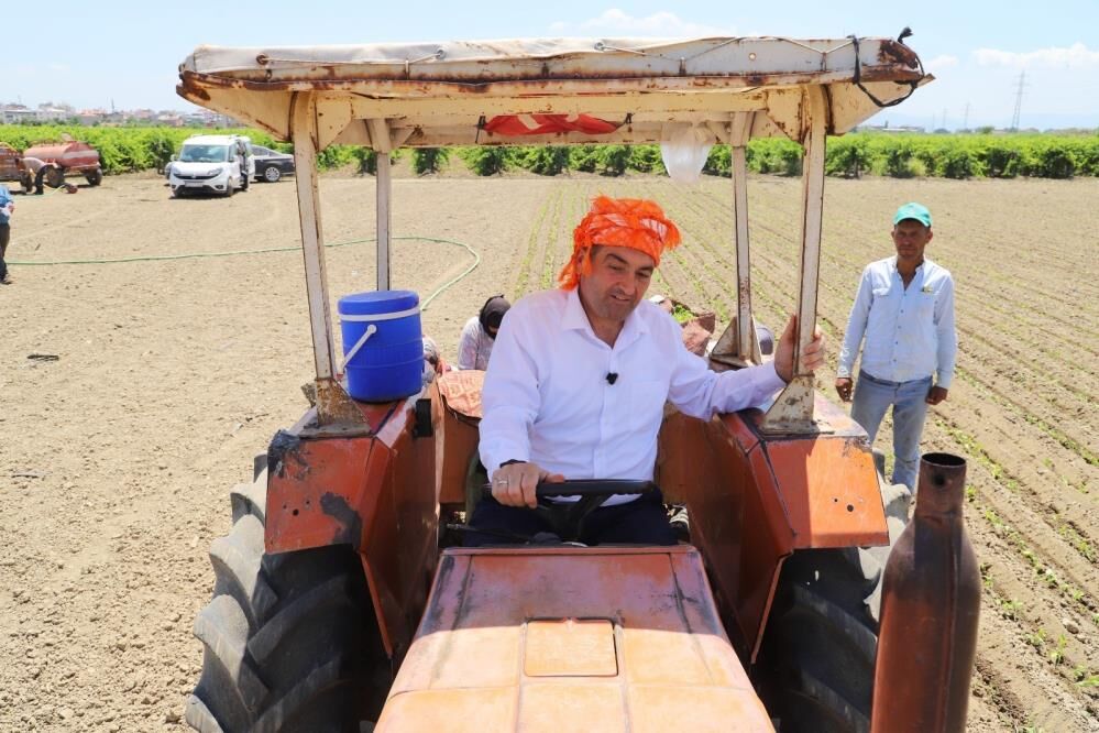 Uzum Hasadinda Korkutan Kaza Saruhanli Belediye Baskani Elini Makineye Kaptirdi (2)